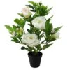 Northlight 17.25" Creamy White & Pink Artificial Blooming Potted Peony -Northlight 28529 32606596 u