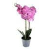Northlight Artificial Blooming Pink Orchid Flower Decorative Potted Plant