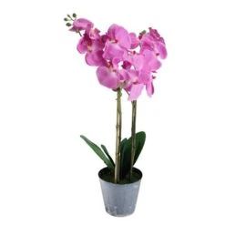 Northlight Artificial Blooming Pink Orchid Flower Decorative Potted Plant