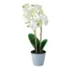 Northlight White & Sunny Yellow Artificial Blooming Orchid In Pot 1 Northlight White & Sunny Yellow Artificial Blooming Orchid In Pot -Northlight 28529 32606682