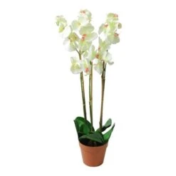 Northlight White Three Stemmed Potted Flowering Orchid Plant