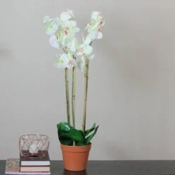 Northlight White Three Stemmed Potted Flowering Orchid Plant -Northlight 28529 32606687 2