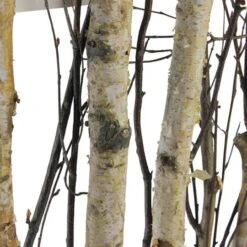 Northlight 17.75" Mixed Branches In Rustic Wood Frame -Northlight 28529 32621878 3