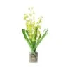 Northlight Chartreuse Green Potted Blooming Orchid Plant 1 Northlight Chartreuse Green Potted Blooming Orchid Plant -Northlight 28529 32631474