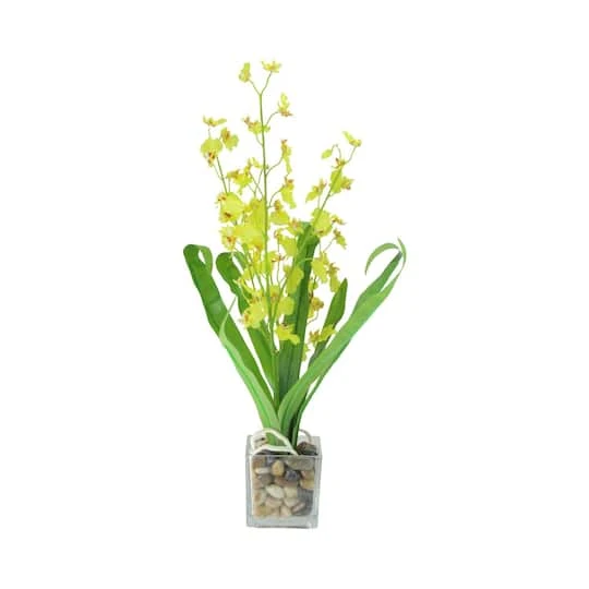 Northlight Chartreuse Green Potted Blooming Orchid Plant 3 Northlight Chartreuse Green Potted Blooming Orchid Plant