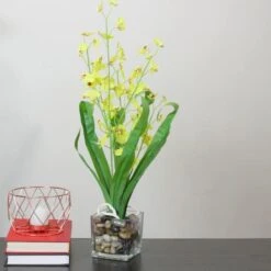 Northlight Chartreuse Green Potted Blooming Orchid Plant 7 Northlight Chartreuse Green Potted Blooming Orchid Plant -Northlight 28529 32631474 2