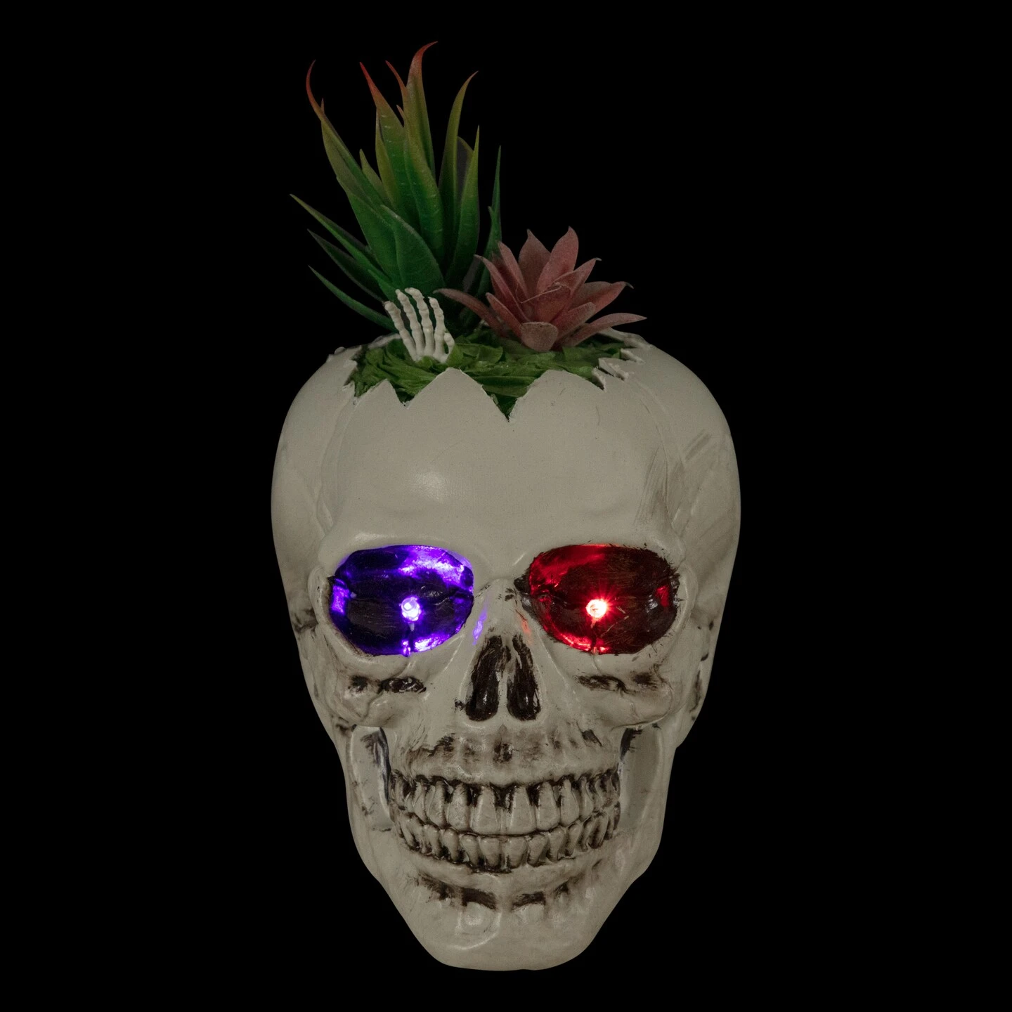 Northlight LED Lighted Succulent Skull Planter Artificial Halloween Decoration - 8.75" White 6 Northlight LED Lighted Succulent Skull Planter Artificial Halloween Decoration - 8.75" White - Image 4