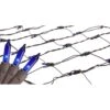 Northlight Mini Net Style Incandescent Christmas Lights - 2' X 8' - Blue - Brown Wire 1 Northlight Mini Net Style Incandescent Christmas Lights - 2' X 8' - Blue - Brown Wire -Northlight 28679130702496