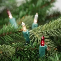 Northlight Mini Incandescent Christmas Lights -Red And Clear - 20.25' Green Wire - 100ct 13 Northlight Mini Incandescent Christmas Lights -Red And Clear - 20.25' Green Wire - 100ct -Northlight 292348018111504
