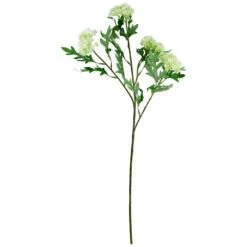 Northlight Finch Laceflower Artificial Floral Sprays- 27" - White And Green - Set Of 6 13 Northlight Finch Laceflower Artificial Floral Sprays- 27" - White And Green - Set Of 6 -Northlight 30542118158896