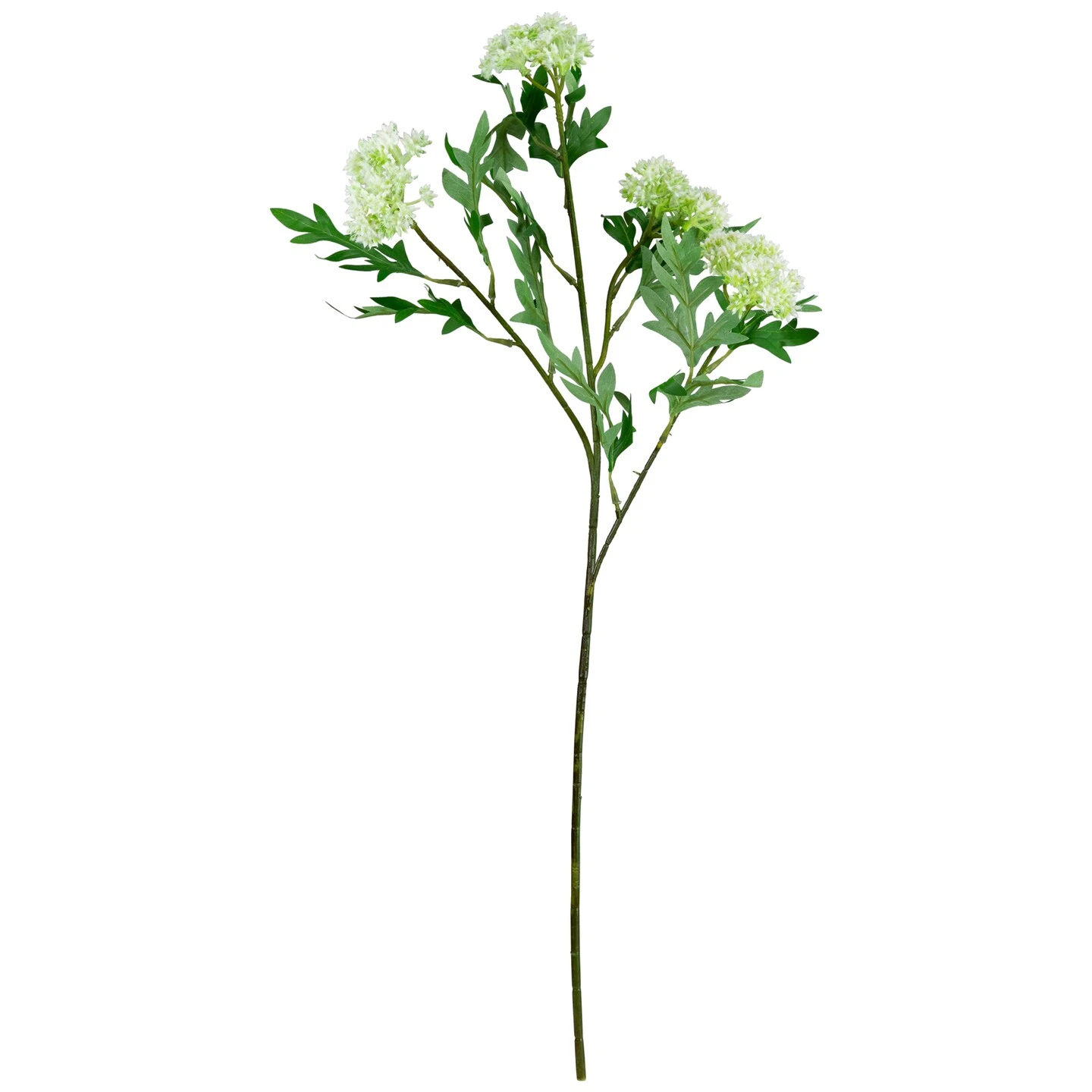 Northlight Finch Laceflower Artificial Floral Sprays- 27" - White And Green - Set Of 6 6 Northlight Finch Laceflower Artificial Floral Sprays- 27" - White And Green - Set Of 6 - Image 4