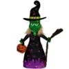 Northlight LED Lighted Witch With Broom Outdoor Halloween Decoration - 39"- Clear Lights Purple -Northlight 312443072112224