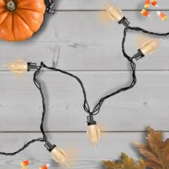 Northlight C9 LED Christmas Lights - Warm White - 16' Black Wire - 25ct 9 Northlight C9 LED Christmas Lights - Warm White - 16' Black Wire - 25ct -Northlight 3459265323529527968