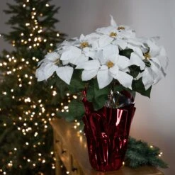 Northlight Artificial Christmas Poinsettia Flowers With Wrapped Base - 22" - White 12 Northlight Artificial Christmas Poinsettia Flowers With Wrapped Base - 22" - White -Northlight 3459279450716128480