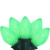 Northlight Opaque C7 Christmas String Lights - Green - 24' Green Wire - 25ct -Northlight 380292803977888