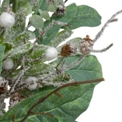 Northlight 25" Artificial Mixed Foliage And Berries Christmas Wreath Unlit Green 10 Northlight 25" Artificial Mixed Foliage And Berries Christmas Wreath Unlit Green -Northlight 424869459215584