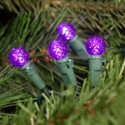 Northlight LED G12 Berry Faceted Christmas Lights - Purple - 15.9' Green Wire - 50ct -Northlight 4611701625734706384