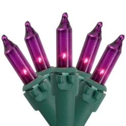 Northlight Mini Incandescent Christmas Lights - Purple - 10' Green Wire - 50ct 15 Northlight Mini Incandescent Christmas Lights - Purple - 10' Green Wire - 50ct -Northlight 4611702960977198048 2