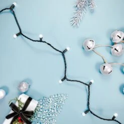 Northlight LED G12 Berry Christmas Lights - Pure White - 16' Black Wire - 50ct -Northlight 4611706066489292304