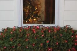 Northlight Mini Net Style Incandescent Christmas Lights - 4' X 6' - Red - Green Wire 9 Northlight Mini Net Style Incandescent Christmas Lights - 4' X 6' - Red - Green Wire -Northlight 4611714697692308128