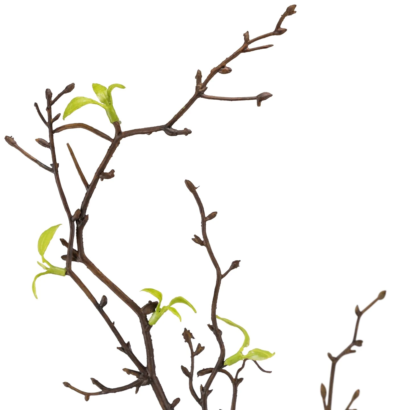 Northlight Curly Willow Artificial Sprays - 34" - Green - Set Of 4 8 Northlight Curly Willow Artificial Sprays - 34" - Green - Set Of 4 - Image 6