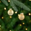 Northlight 10ct Shiny And Matte Champagne Gold Glass Ball Christmas Ornaments 1.75" (45mm) 1 Northlight 10ct Shiny And Matte Champagne Gold Glass Ball Christmas Ornaments 1.75" (45mm) -Northlight 4611739825206578896