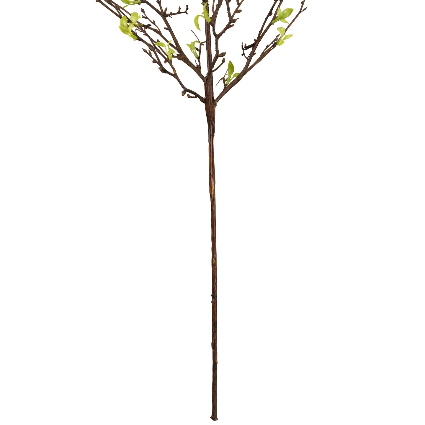 Northlight Curly Willow Artificial Sprays - 34" - Green - Set Of 4 9 Northlight Curly Willow Artificial Sprays - 34" - Green - Set Of 4 - Image 7