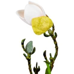 Northlight Magnolia Artificial Floral Sprays- 33" - White And Pink - Set Of 4 -Northlight 4611824461398311472