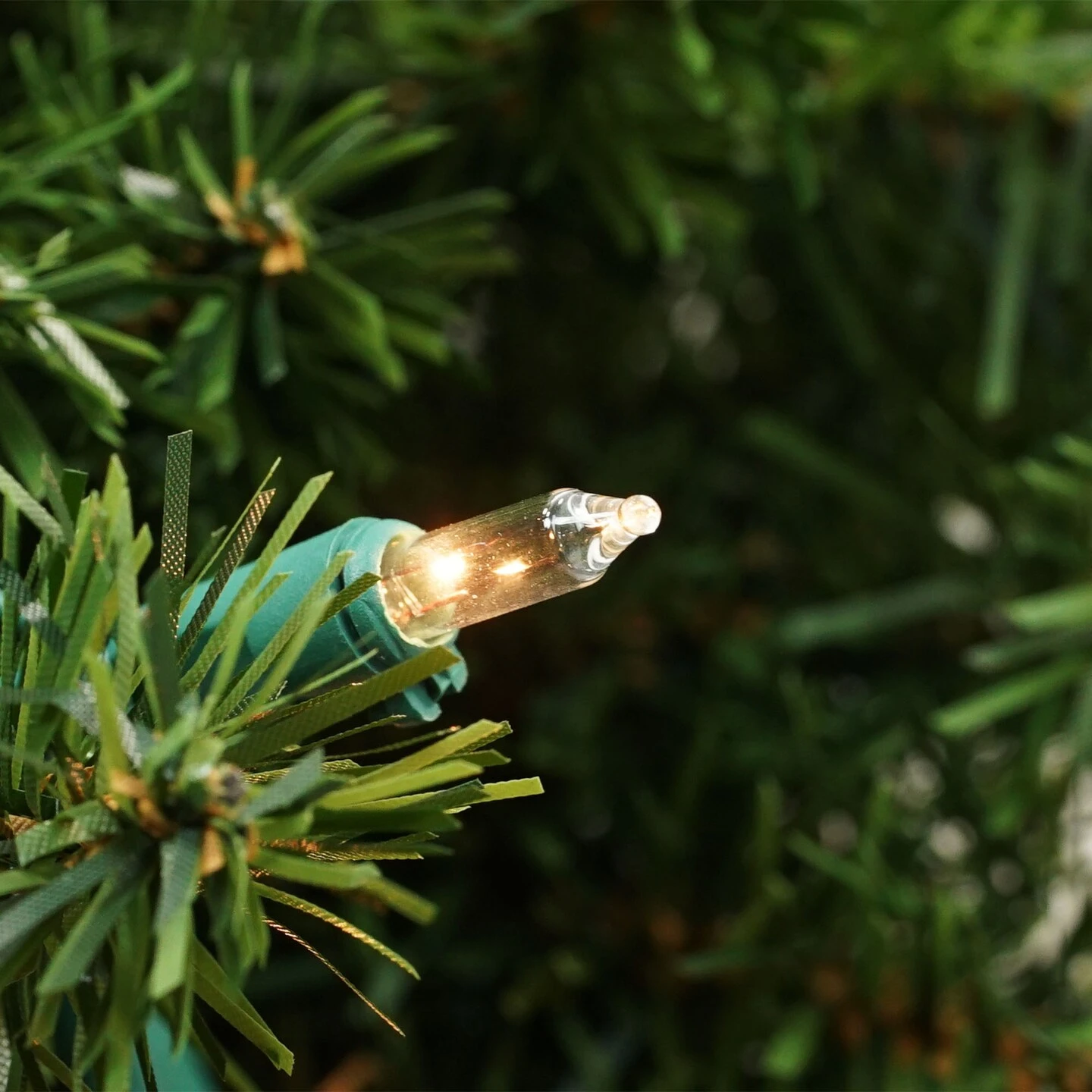 Northlight Pre-Lit Canadian Pine Artificial Christmas Wreath - 24" - Clear Lights Green 6 Northlight Pre-Lit Canadian Pine Artificial Christmas Wreath - 24" - Clear Lights Green - Image 4