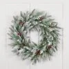 Northlight Real Touch™️ Flocked Wind River Fir With Berries Artificial Christmas Wreath - 24" - Unlit Green -Northlight 4612001354969505360