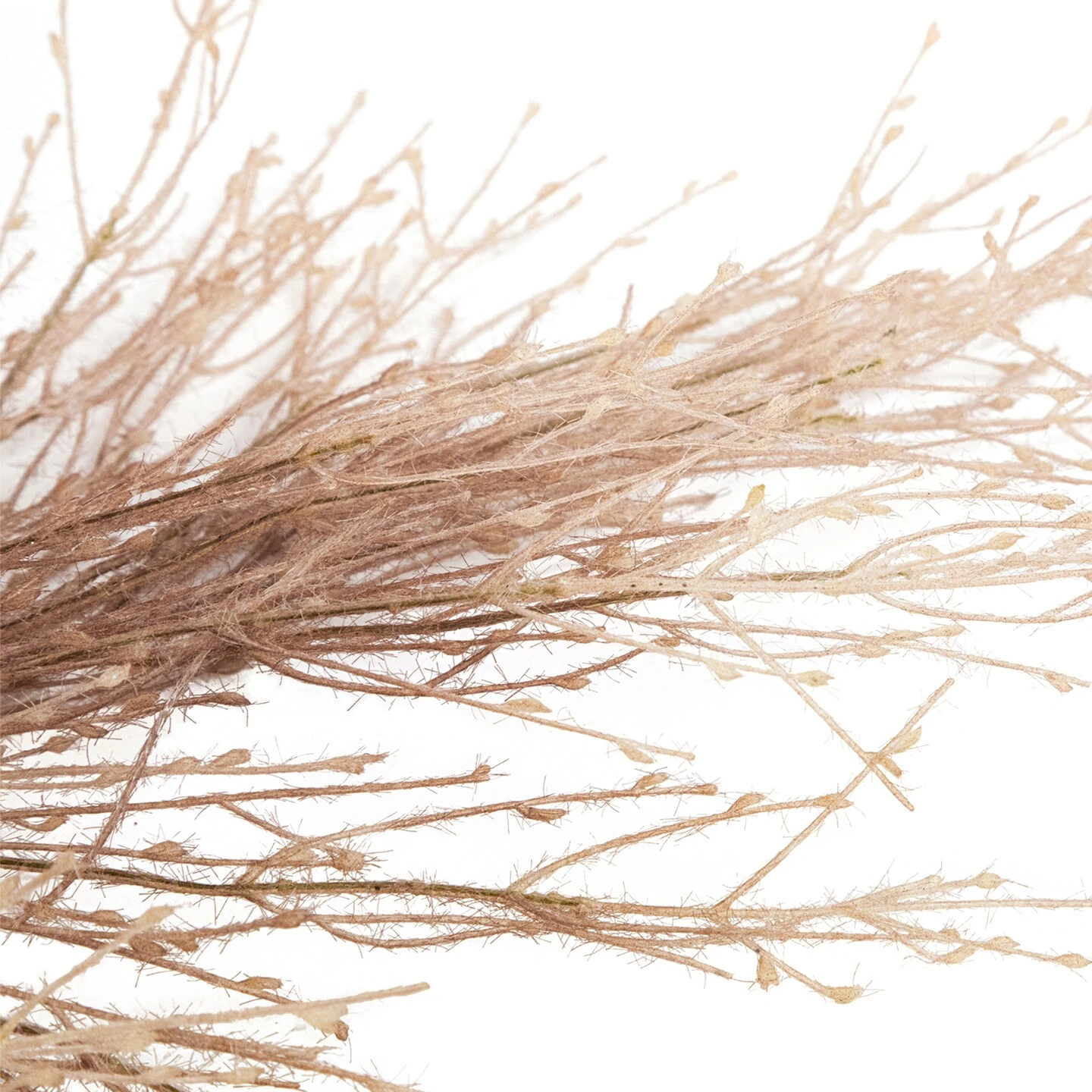 Northlight Fountain Grass Artificial Fall Harvest Spray - 35" Beige 7 Northlight Fountain Grass Artificial Fall Harvest Spray - 35" Beige - Image 5