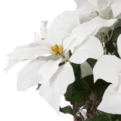 Northlight Artificial Christmas Poinsettia With Wrapped Base - 14.5" - White And Red 16 Northlight Artificial Christmas Poinsettia With Wrapped Base - 14.5" - White And Red -Northlight 4612210292716094688