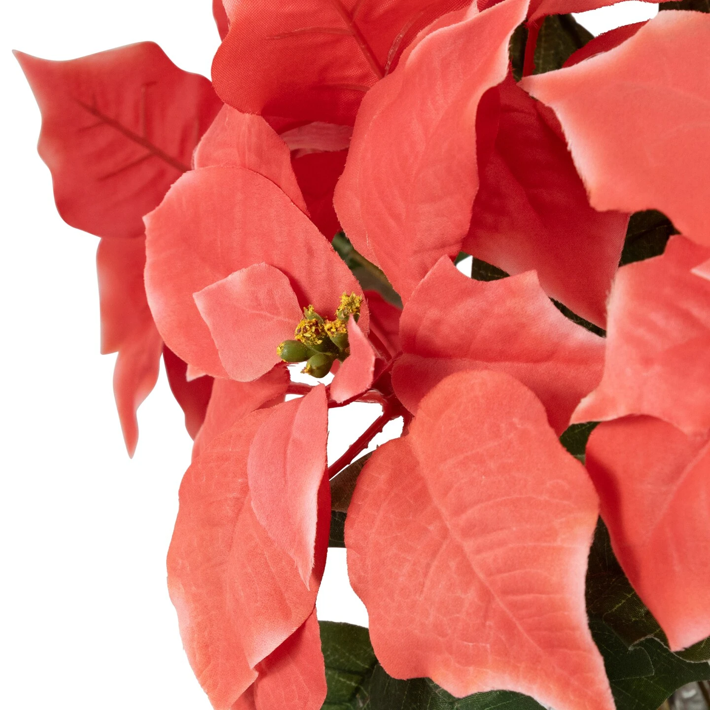 Northlight Artificial Christmas Poinsettia With Wrapped Base - 20" - Pink 9 Northlight Artificial Christmas Poinsettia With Wrapped Base - 20" - Pink - Image 7
