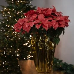 Northlight Artificial Christmas Poinsettia With Wrapped Base - 28" - Pink 12 Northlight Artificial Christmas Poinsettia With Wrapped Base - 28" - Pink -Northlight 4612229839917565152