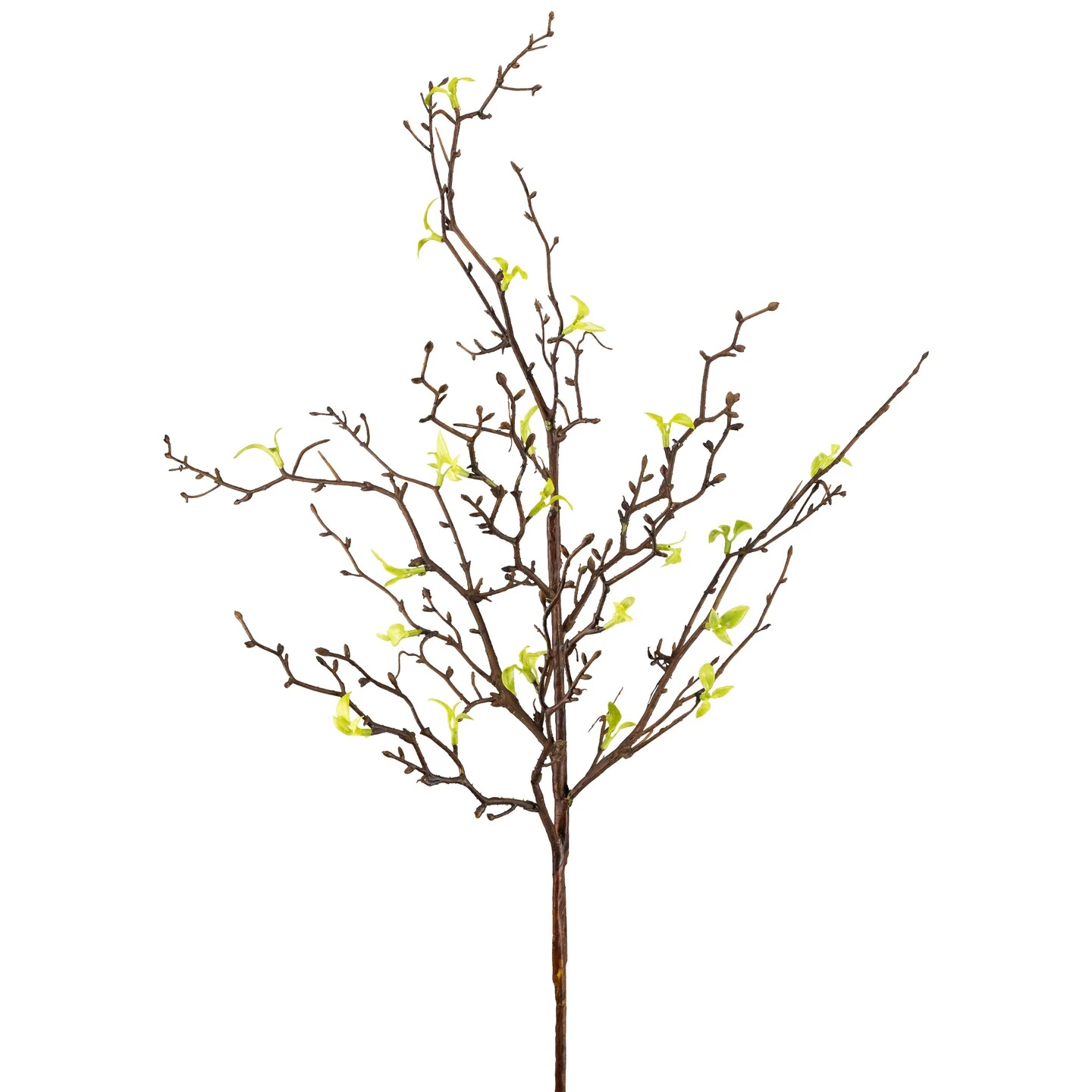 Northlight Curly Willow Artificial Sprays - 34" - Green - Set Of 4 7 Northlight Curly Willow Artificial Sprays - 34" - Green - Set Of 4 - Image 5