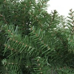 Northlight Northern Pine Artificial Christmas Wreath - 48" - Unlit Green -Northlight 461780002280096