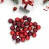 Northlight 2-Finish Mini Christmas Glass Ball Ornaments - 1" (25mm) - Red And Burgundy - 28ct
