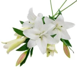 Northlight Real Touch™ Artificial Casa Blanca Lily Sprays - 38" - White - Set Of 6 -Northlight 472544964396256