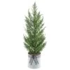 Northlight Artificial Cypress Christmas Tree - 18.5" - Unlit Green