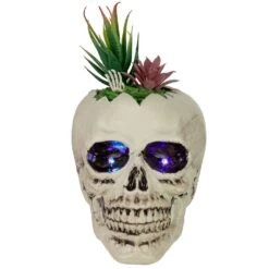 Northlight LED Lighted Succulent Skull Planter Artificial Halloween Decoration - 8.75" White 12 Northlight LED Lighted Succulent Skull Planter Artificial Halloween Decoration - 8.75" White -Northlight 500808570233504