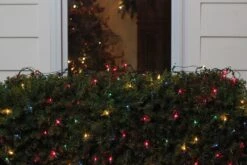 Northlight Mini Incandescent Net Style Christmas Lights - 4' X 6' - Multi-color - Green Wire 8 Northlight Mini Incandescent Net Style Christmas Lights - 4' X 6' - Multi-color - Green Wire -Northlight 500809920275104