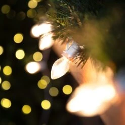 Northlight C7 Christmas String Lights - Clear - 24' White Wire - 25ct 14 Northlight C7 Christmas String Lights - Clear - 24' White Wire - 25ct -Northlight 506023037690384