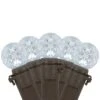 Northlight LED G12 Berry Christmas Lights - Pure White - 16' Brown Wire - 50ct
