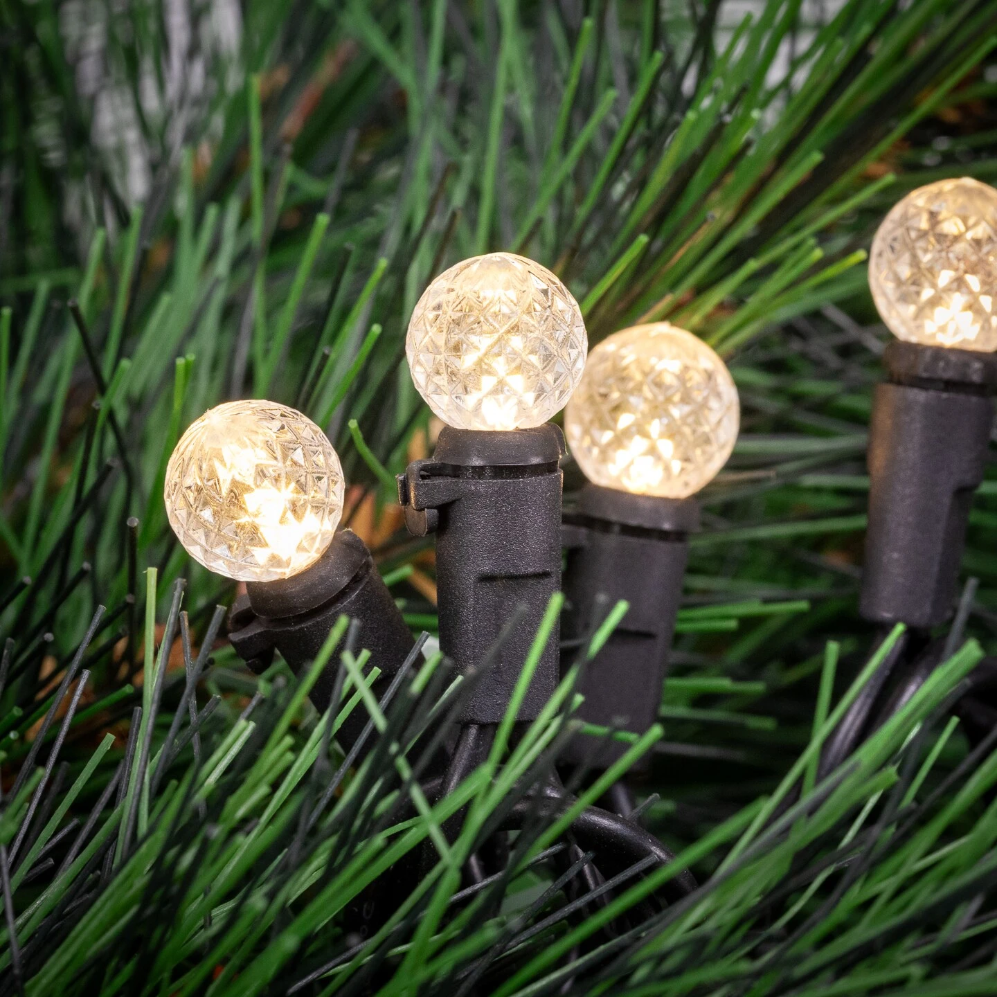 Northlight LED G12 Berry Christmas Lights - Warm White - 16' Black Wire - 50ct 5 Northlight LED G12 Berry Christmas Lights - Warm White - 16' Black Wire - 50ct - Image 3