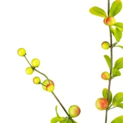 Northlight Berry Branch Artificial Sprays - 34" - Green And Brown - Set Of 6 15 Northlight Berry Branch Artificial Sprays - 34" - Green And Brown - Set Of 6 -Northlight 545341730095664