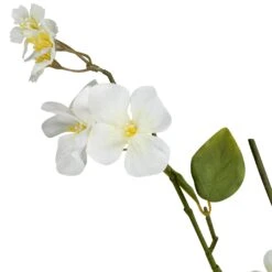 Northlight Japanese Anemone Artificial Floral Sprays - 45.5" - White And Yellow - Set Of 4 -Northlight 549140091798064