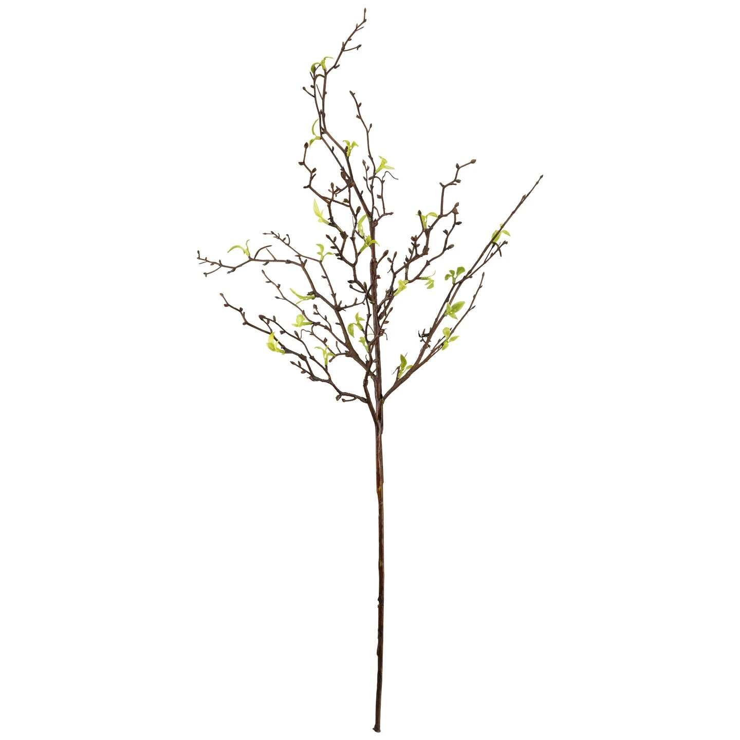 Northlight Curly Willow Artificial Sprays - 34" - Green - Set Of 4 6 Northlight Curly Willow Artificial Sprays - 34" - Green - Set Of 4 - Image 4