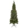 Northlight 7' Pre-Lit Yorkshire Pine Pencil Artificial Christmas Tree, Clear Lights Green 1 Northlight 7' Pre-Lit Yorkshire Pine Pencil Artificial Christmas Tree, Clear Lights Green -Northlight 5764987816323703456