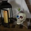 Northlight LED Lighted Succulent Skull Planter Artificial Halloween Decoration - 8.75" White