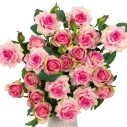 Northlight Real Touch™ Coral Pink Artificial Rose Floral Sprays, Set Of 6 - 35" 16 Northlight Real Touch™ Coral Pink Artificial Rose Floral Sprays, Set Of 6 - 35" -Northlight 5765080066555790560